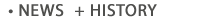 Metadata Hootenanny > News + History